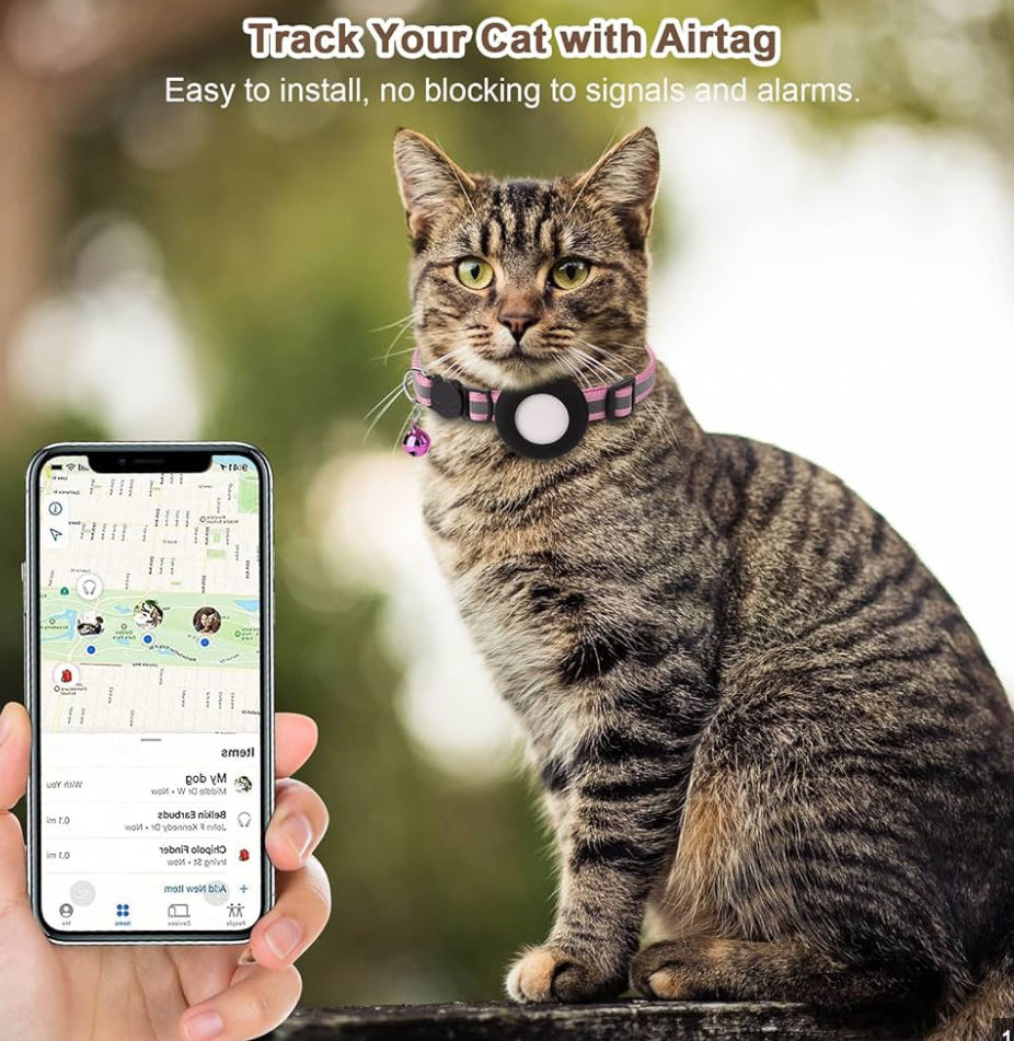 Collier & AirTag chat et petits chiens